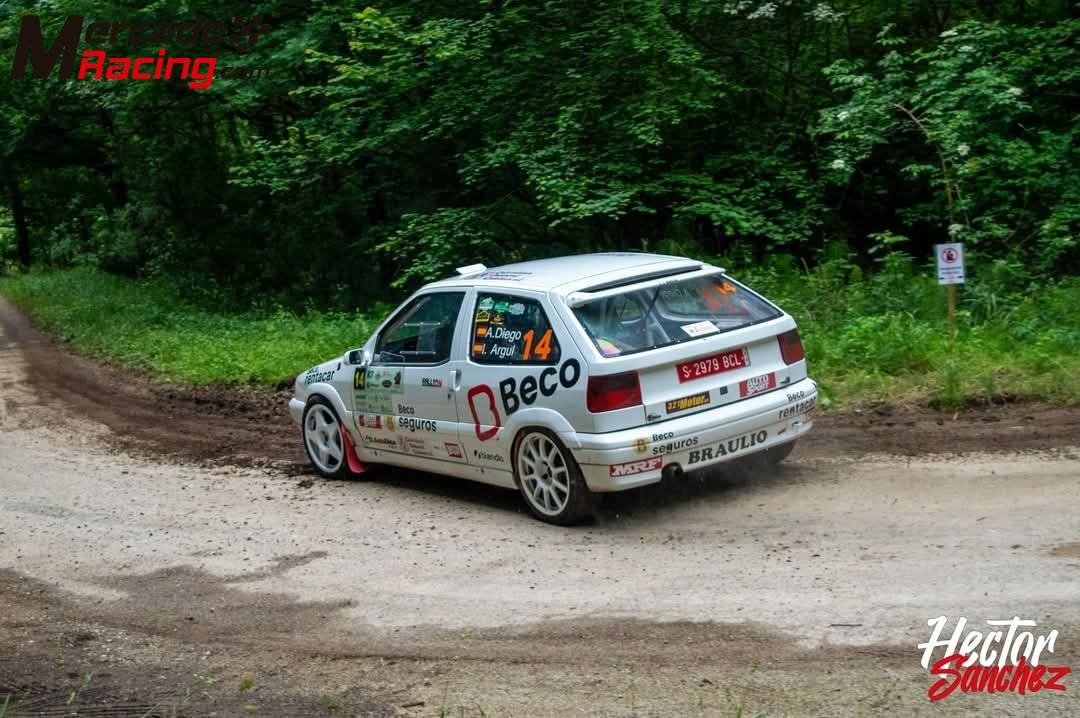 Citroën zx 16v groupe a (f2000)