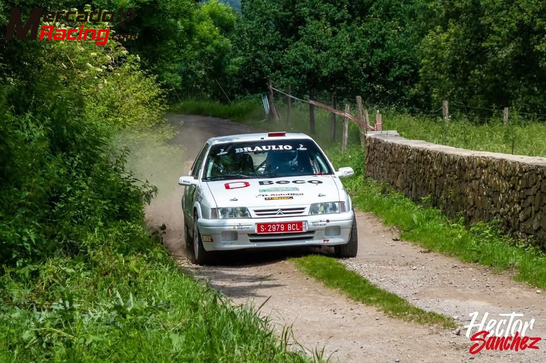 Citroën zx 16v groupe a (f2000)