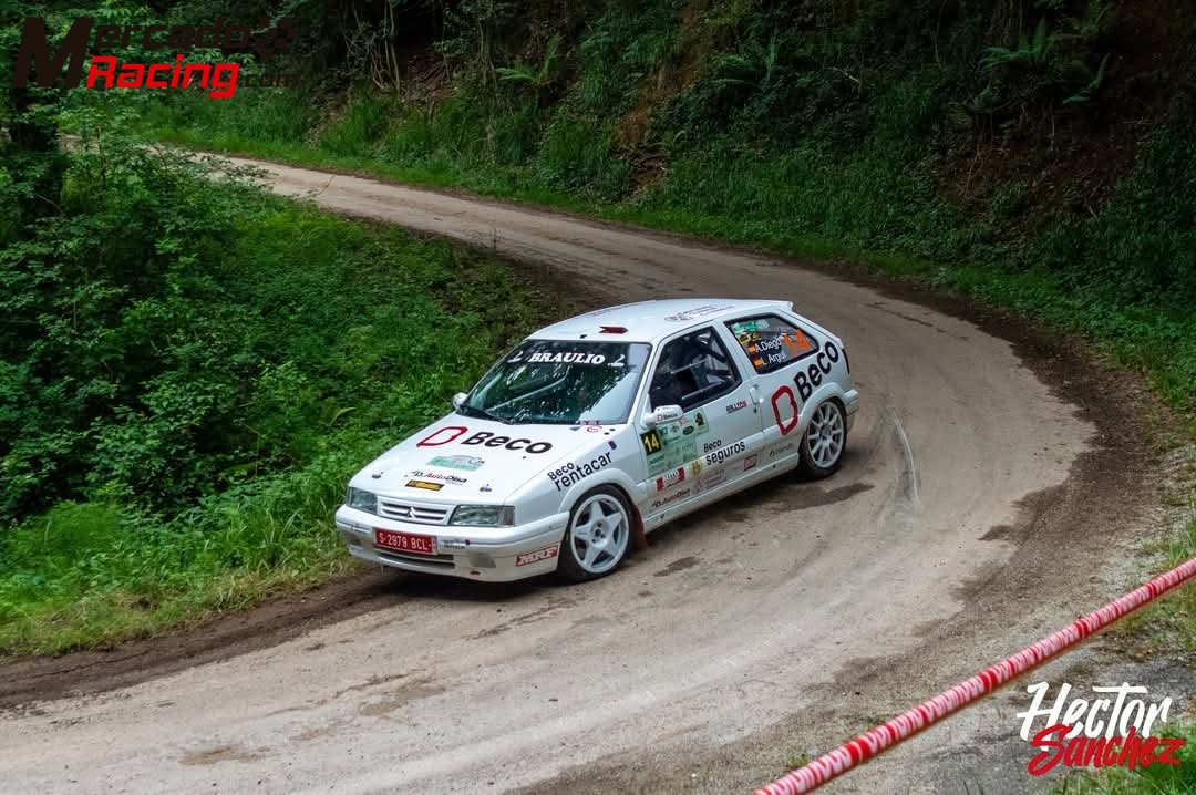 Citroën zx 16v groupe a (f2000)
