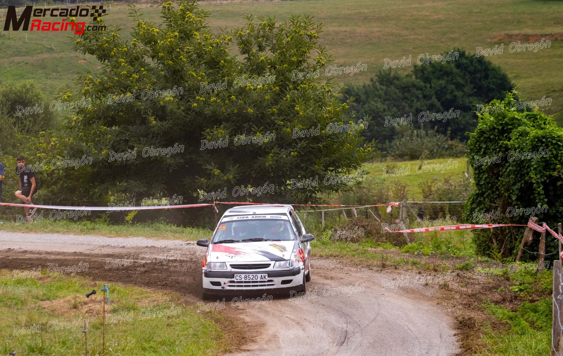 Saxo 16v