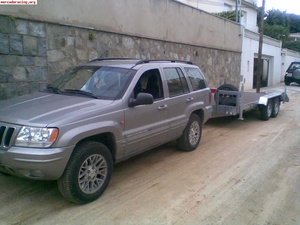 Vendo remolque portacoches plataforma jalon