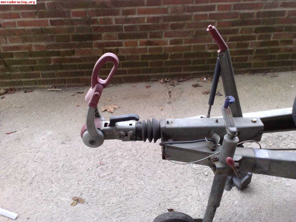 Remolque porta vehículos alko 