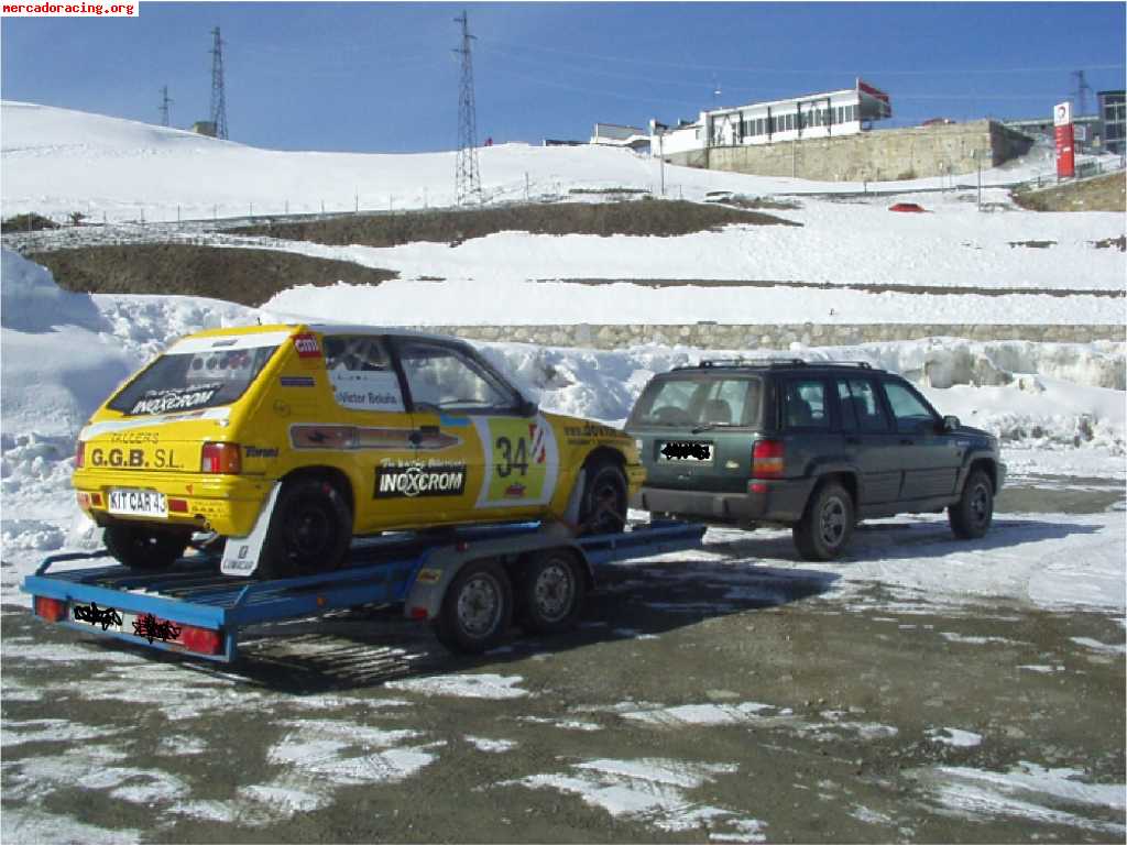 Vendo remolque portacoches 2 ejes