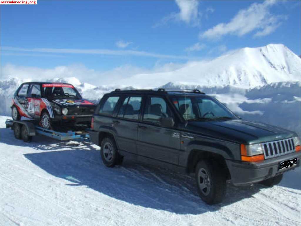 Vendo remolque portacoches 2 ejes