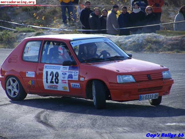 205 rally gr a