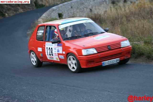 205 rally gr a