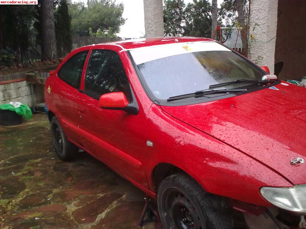 Xsara tope grupo n