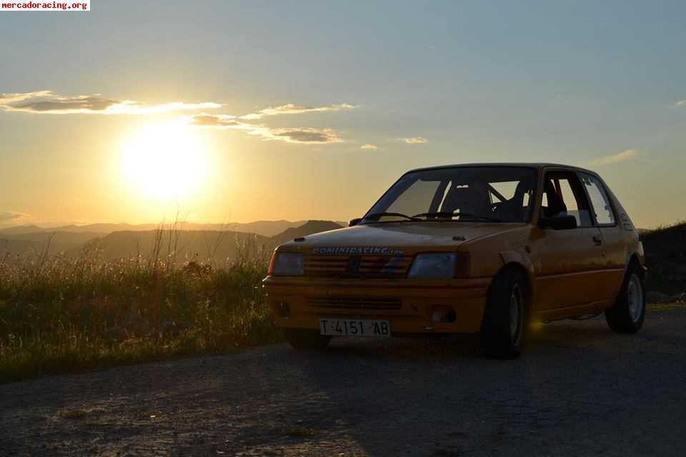 Se cambia peugeot 205 rally