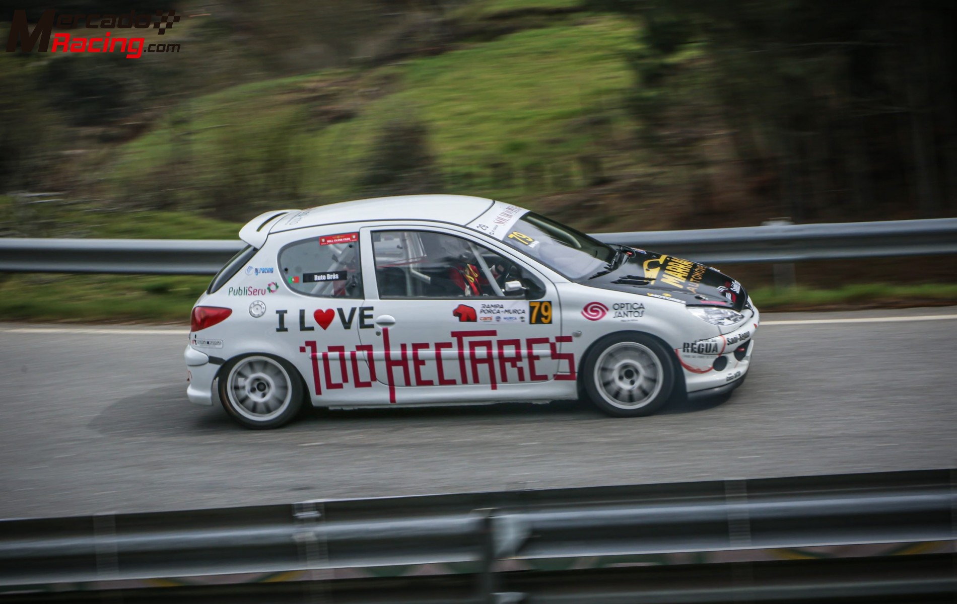 Busco coche de circuitos o rallys de asfalto