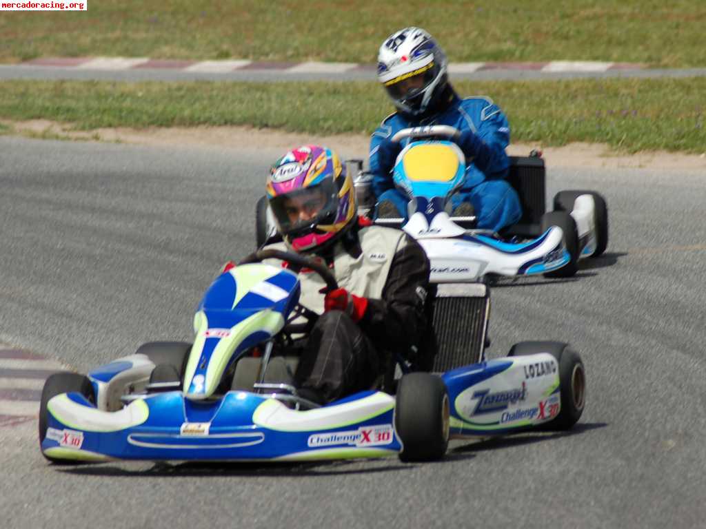 Alquiler --> kart competición 125cc crg con motor rotax max 