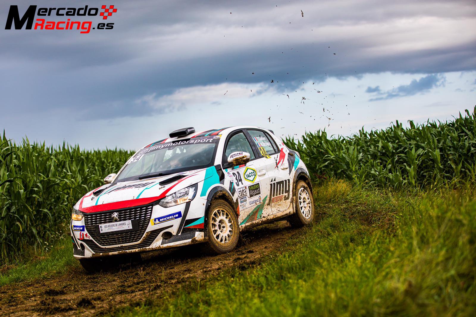 Disponible peugeot 208 rally4