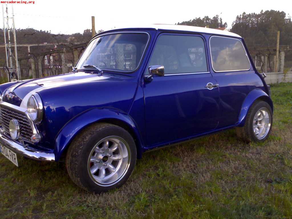 Mini del 85 motor 1300