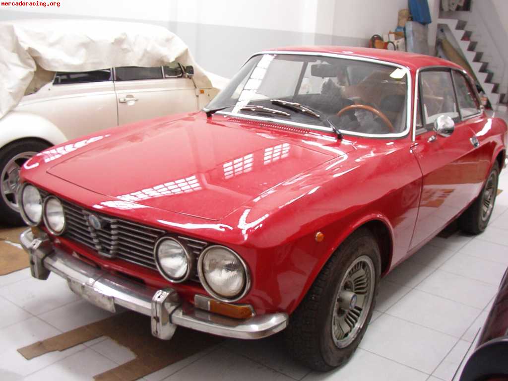 Alfa gt junior