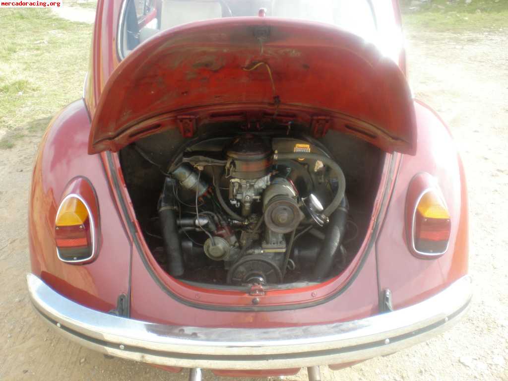 Vw escarabajo