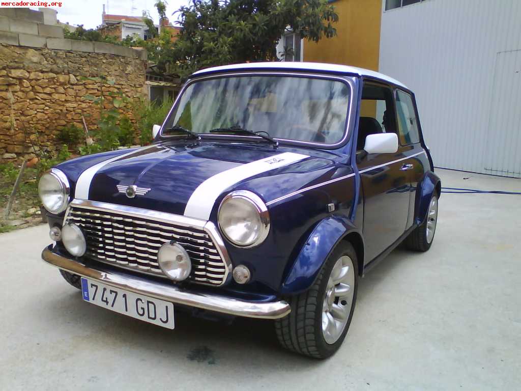 Mini bluestar