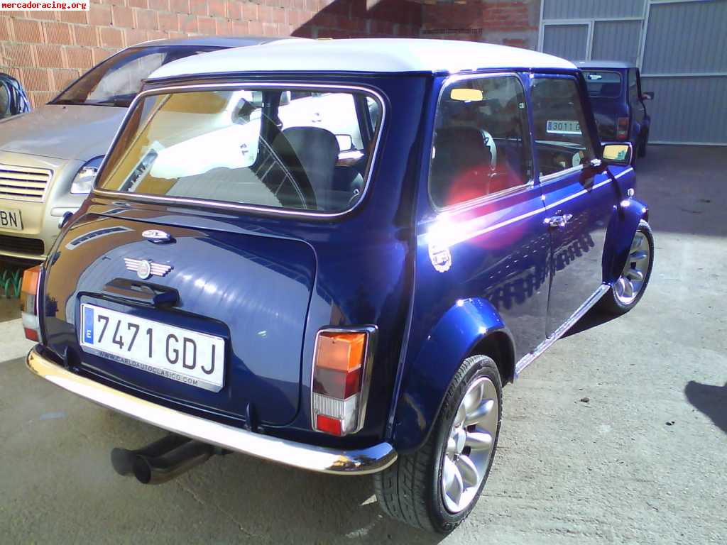 Mini bluestar