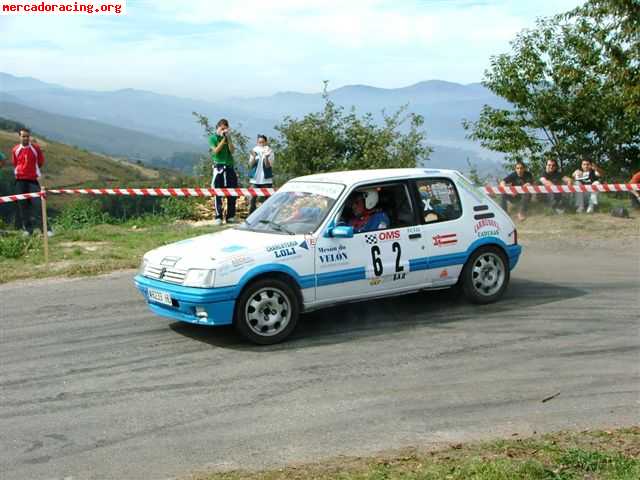205 gti motor  roto