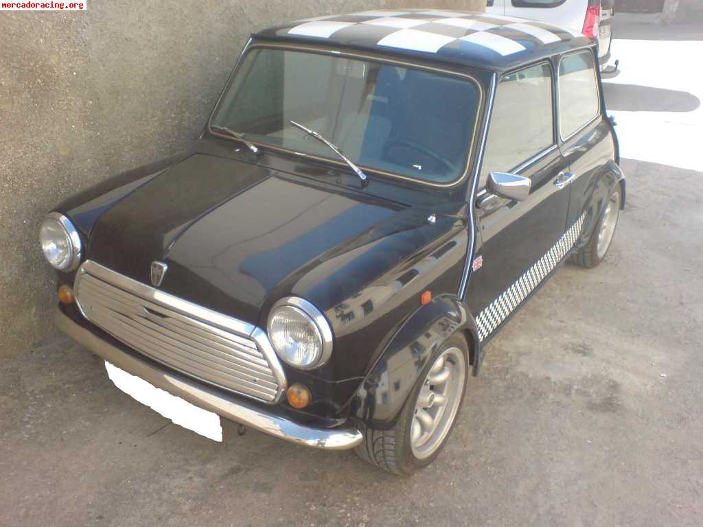 Se vende mini