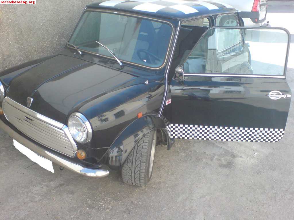 Se vende mini