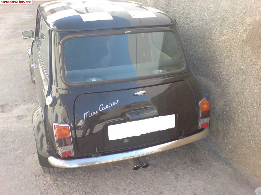 Se vende mini