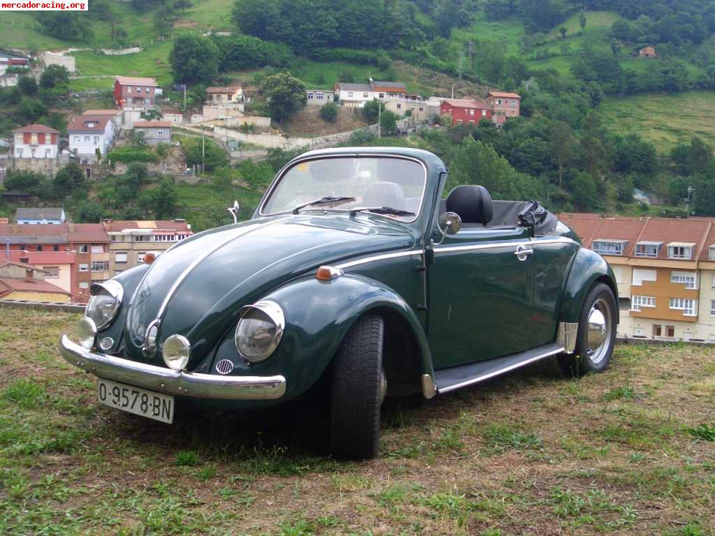 Vw. escarabajo espeacer