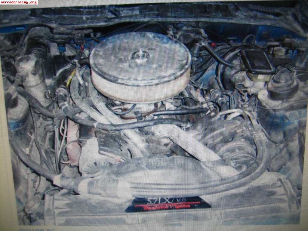 Pontiac trans am 5.0 v8 manual¡¡¡¡