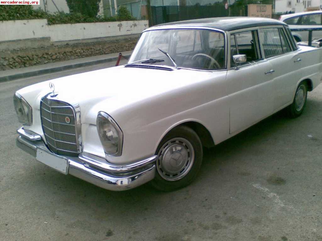 Mercedes 220s colas