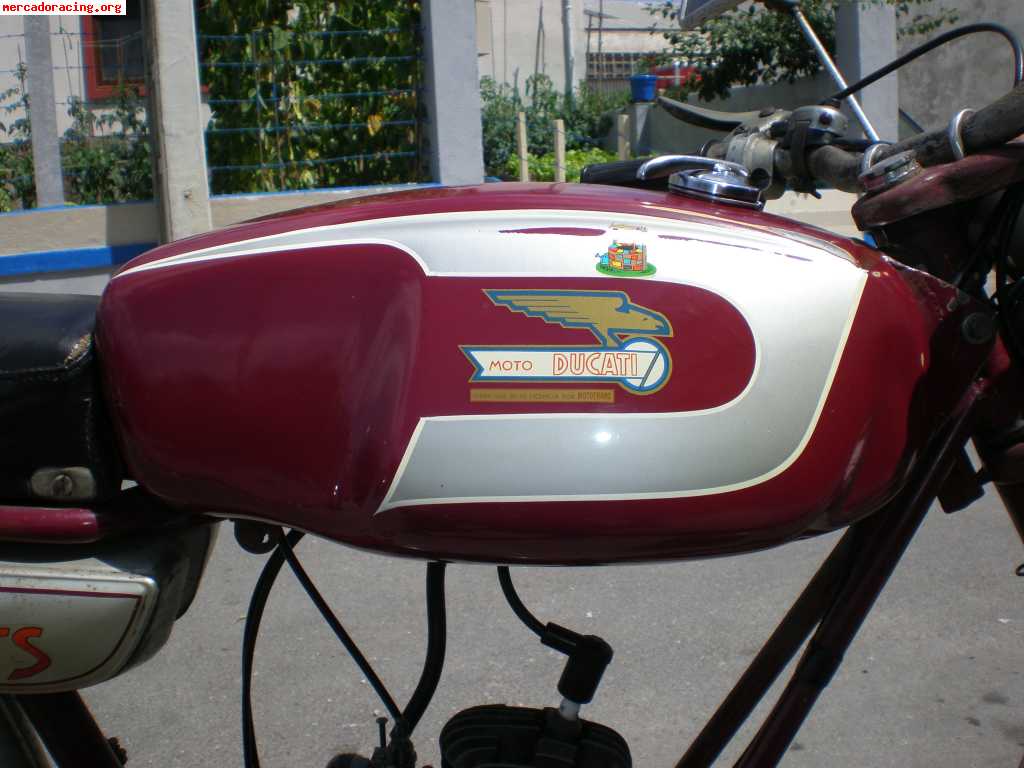 Ducati ts 48