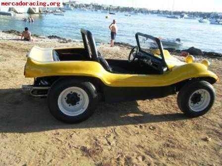 Se vende buggy