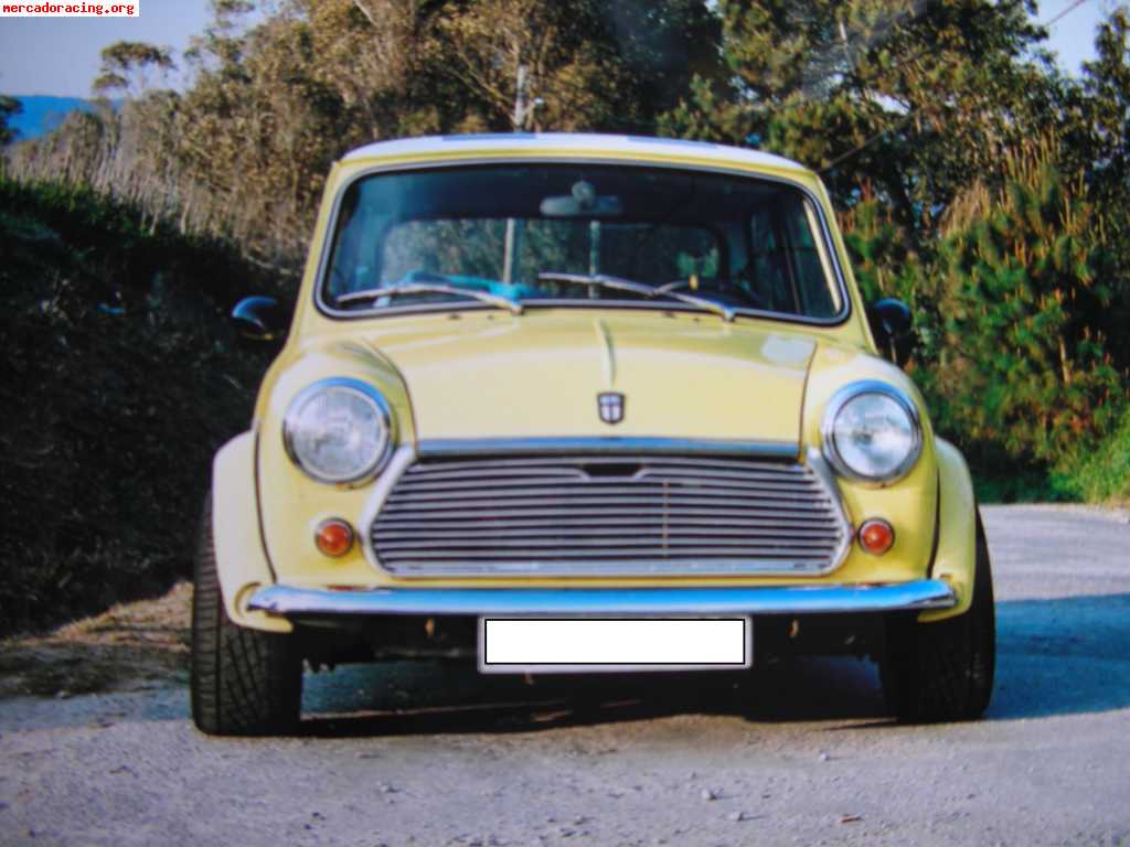 Se vende mini