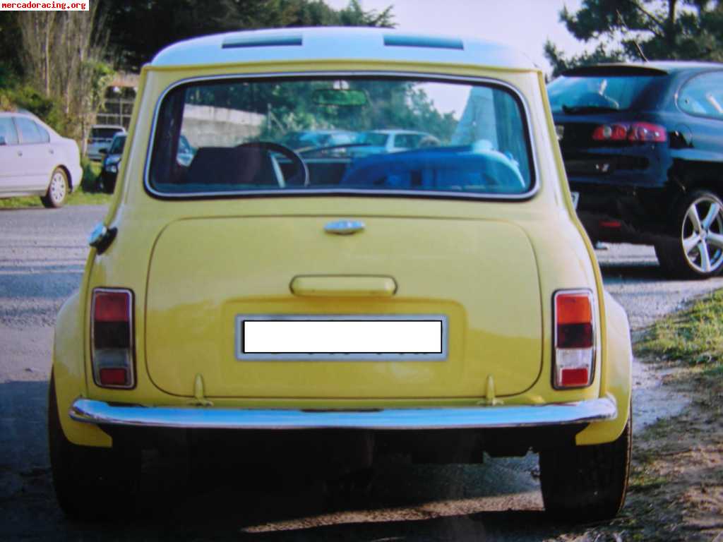 Se vende mini