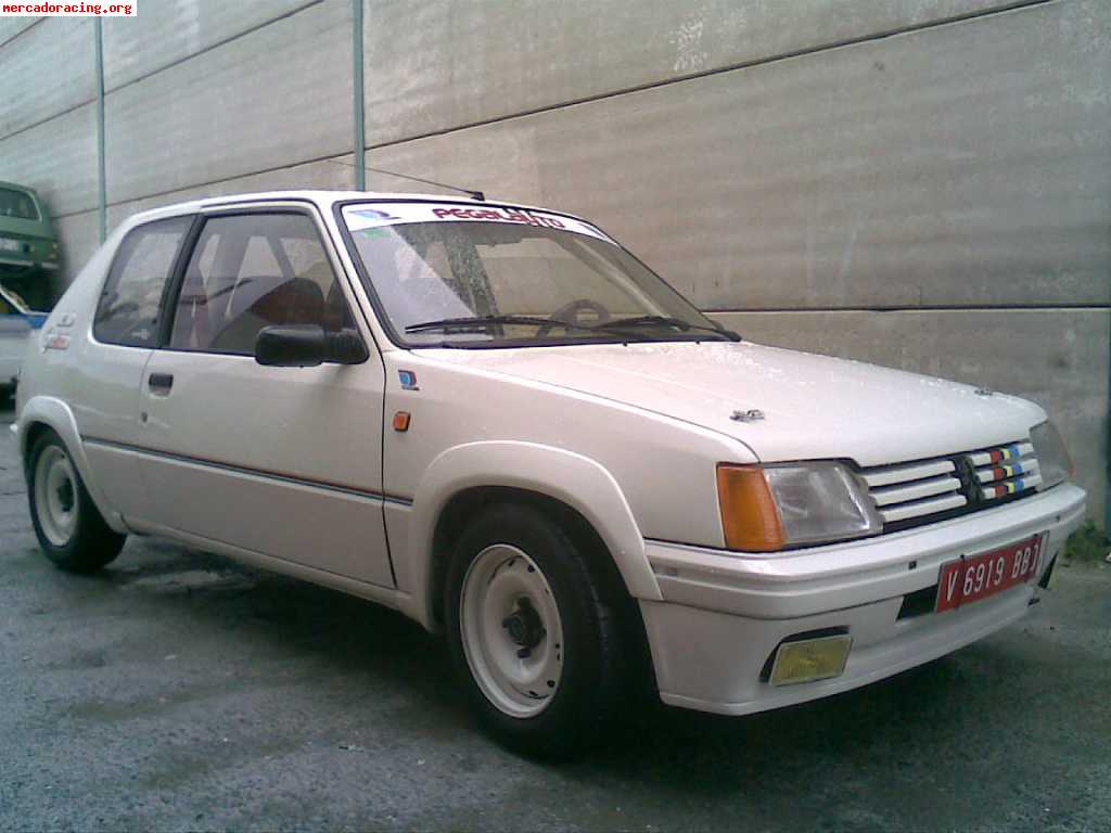 Peugeot 205 rallye grupo n