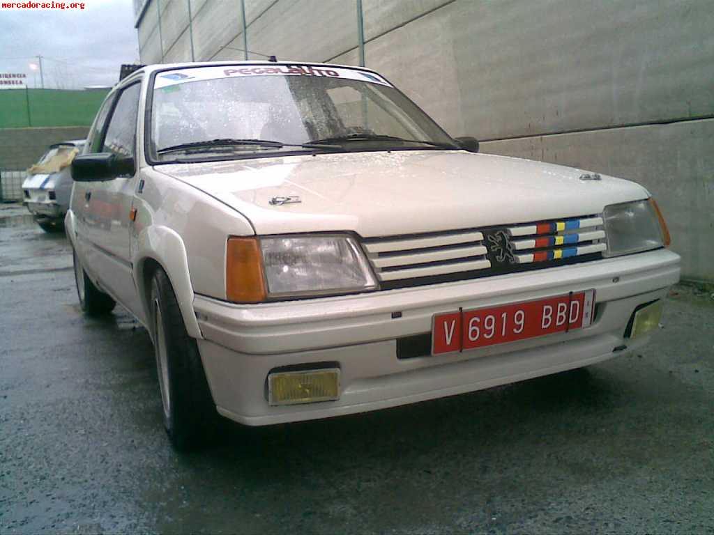 Peugeot 205 rallye grupo n