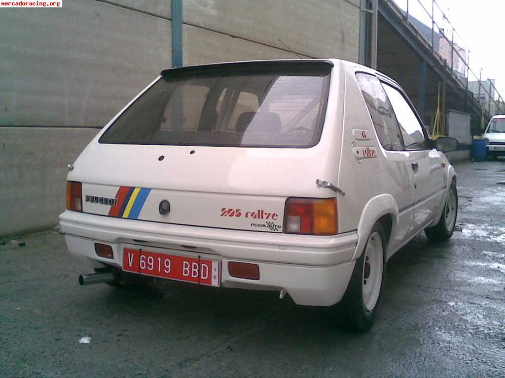 Peugeot 205 rallye grupo n