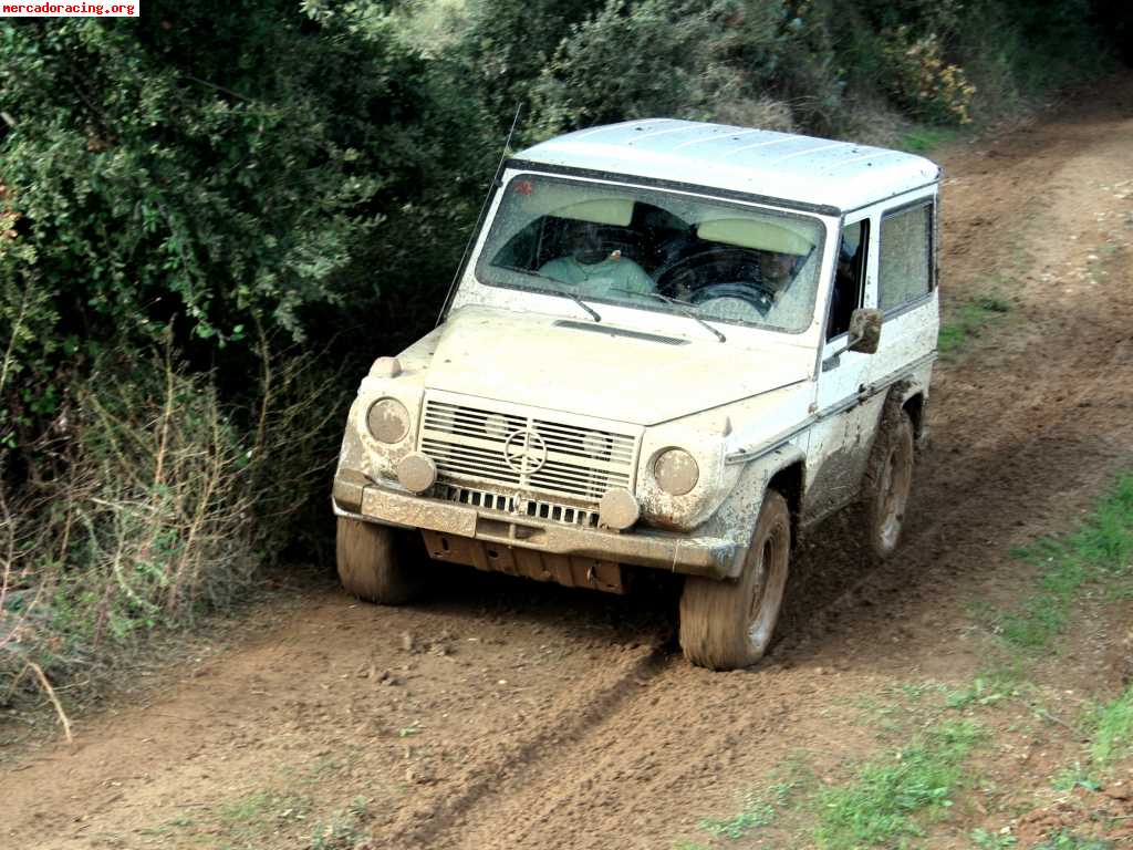 Mercedes benz 300 gd