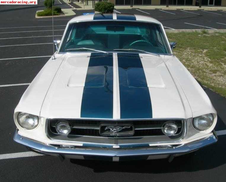Ford mustang fastback 289
