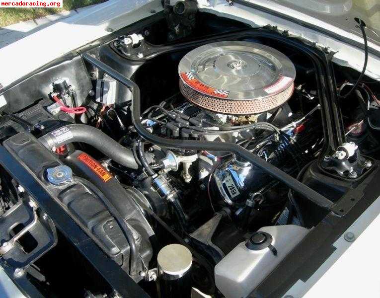 Ford mustang fastback 289