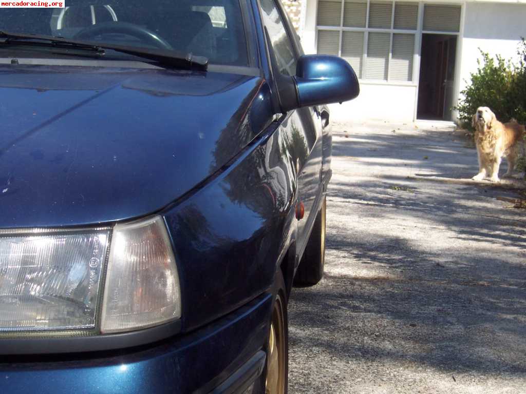 Clio williams