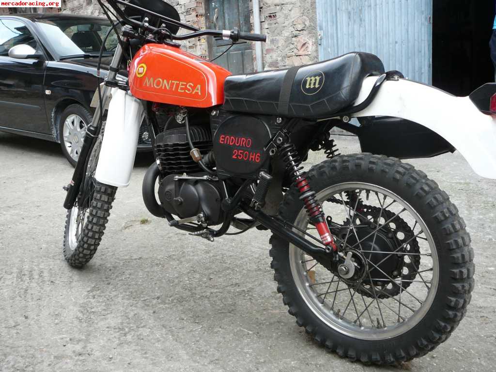 Montesa - enduro 250 h6