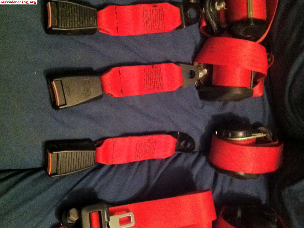 Cinturones rojos cinquecento sporting----impecables