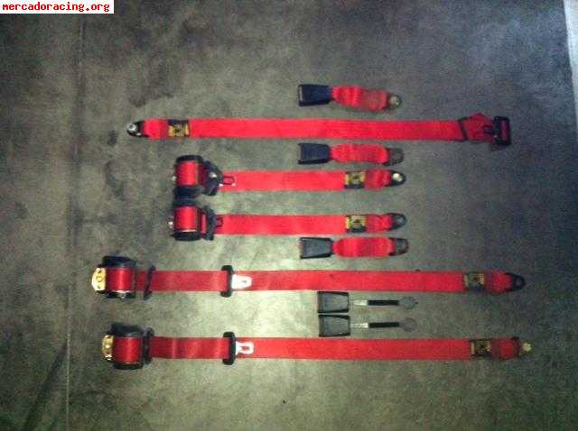 Cinturones rojos juego compleo 150€