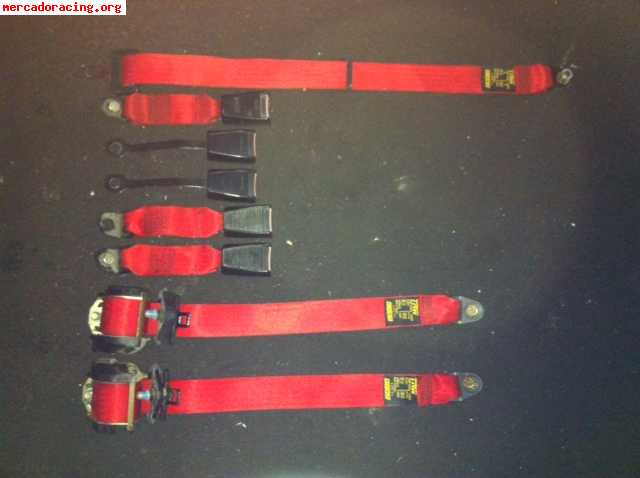Cinturones rojos 100€