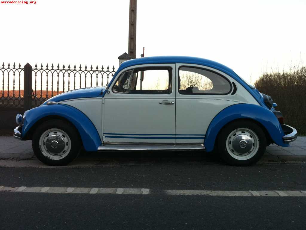 Volkswagen escarabajo (beetle)