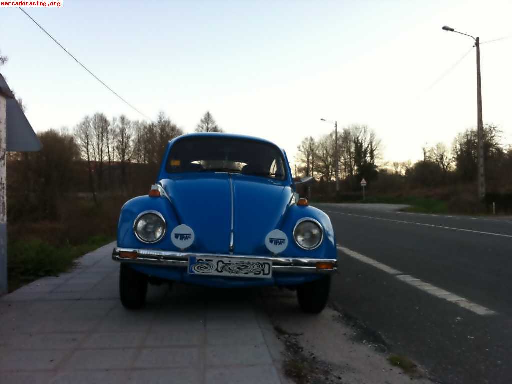 Volkswagen escarabajo (beetle)