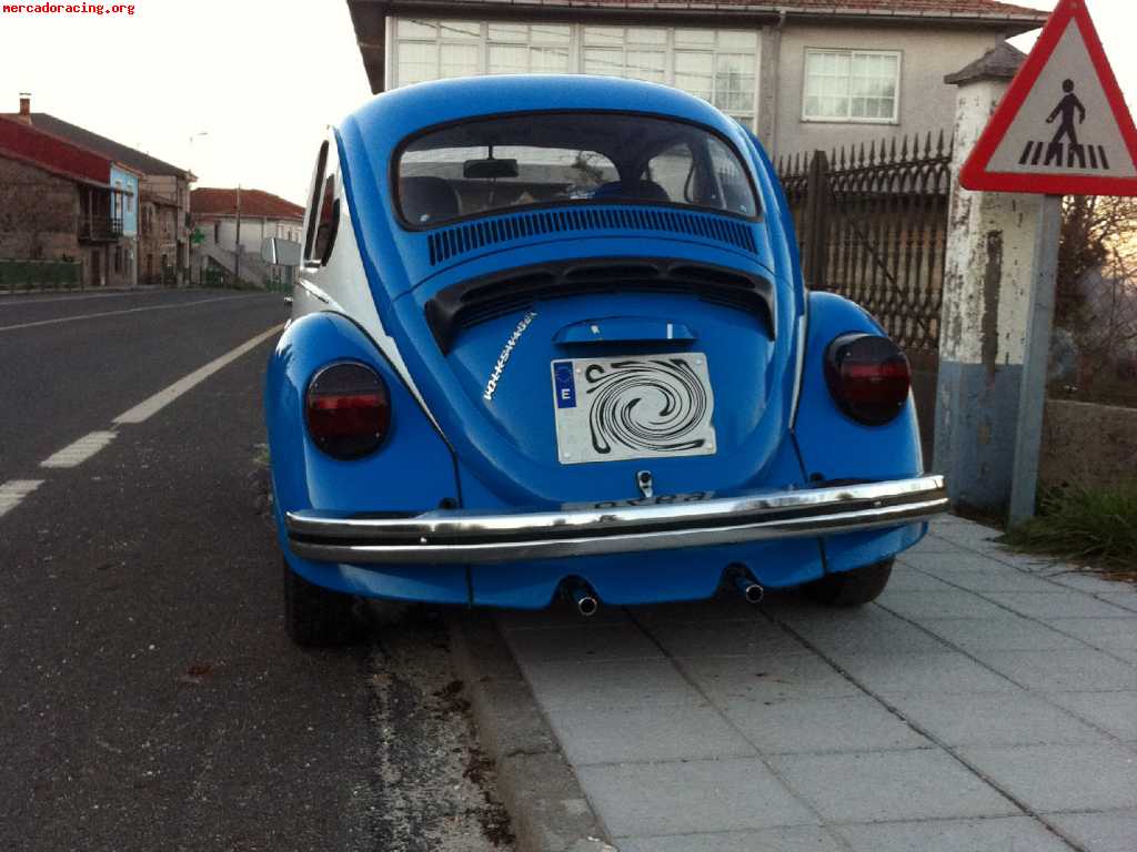 Volkswagen escarabajo (beetle)