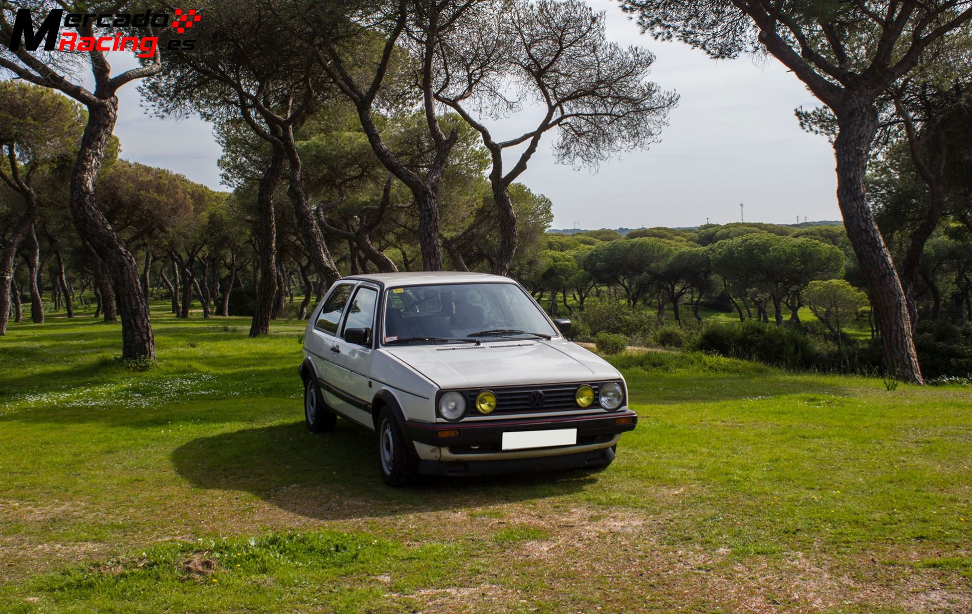 Golf mk2 gti 2500€ 8v
