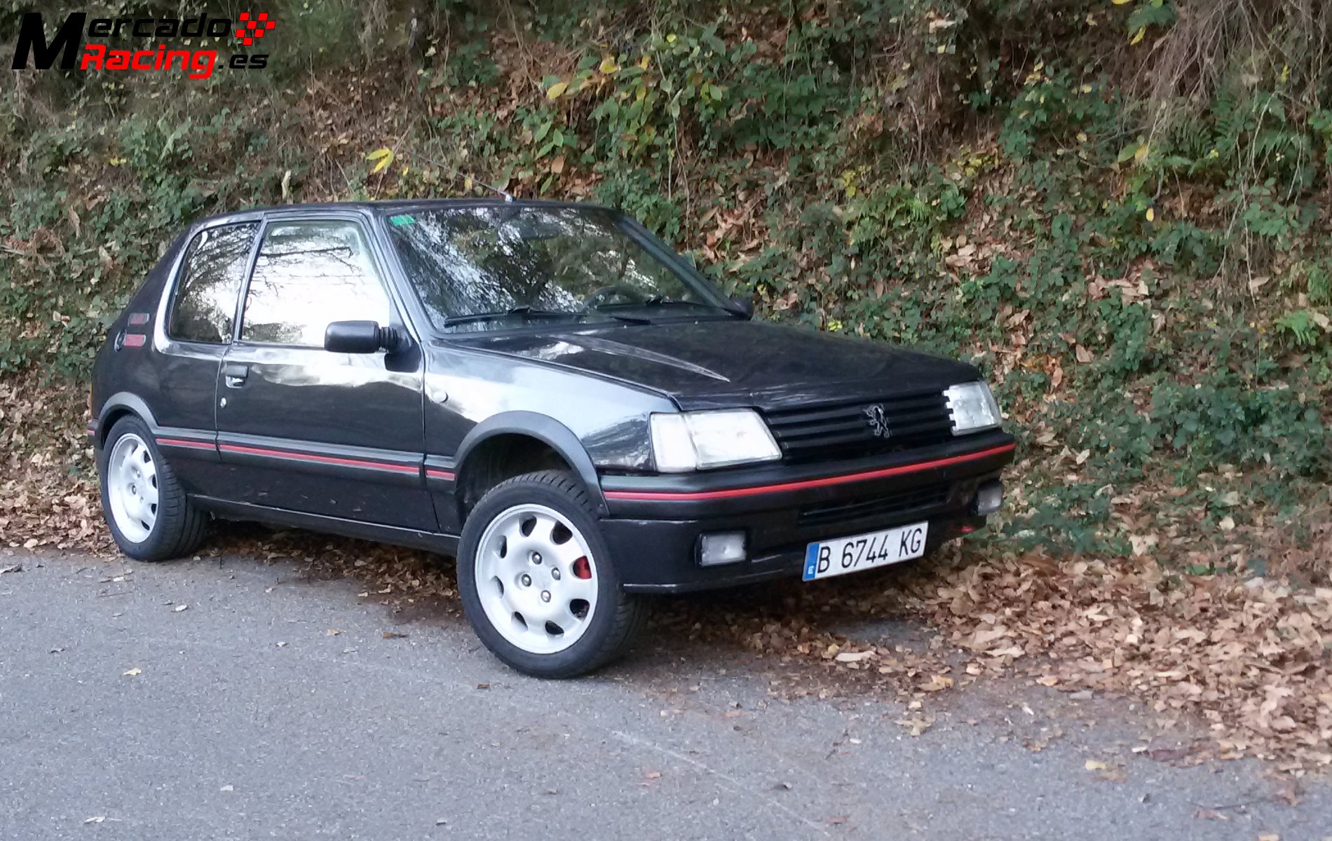 Peugeot 205 gti