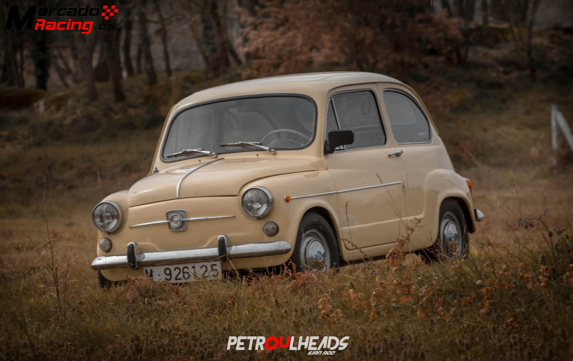Seat 600 e