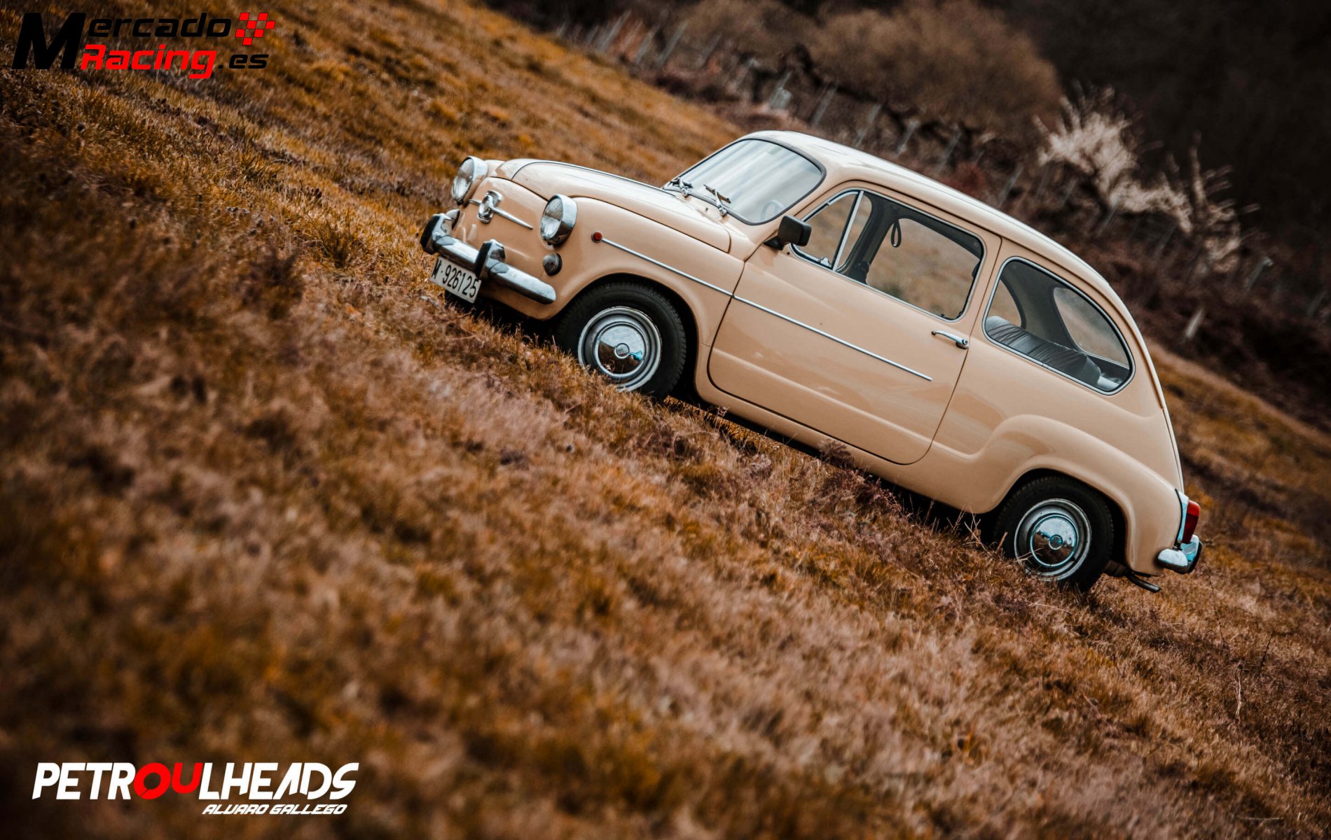 Seat 600 e