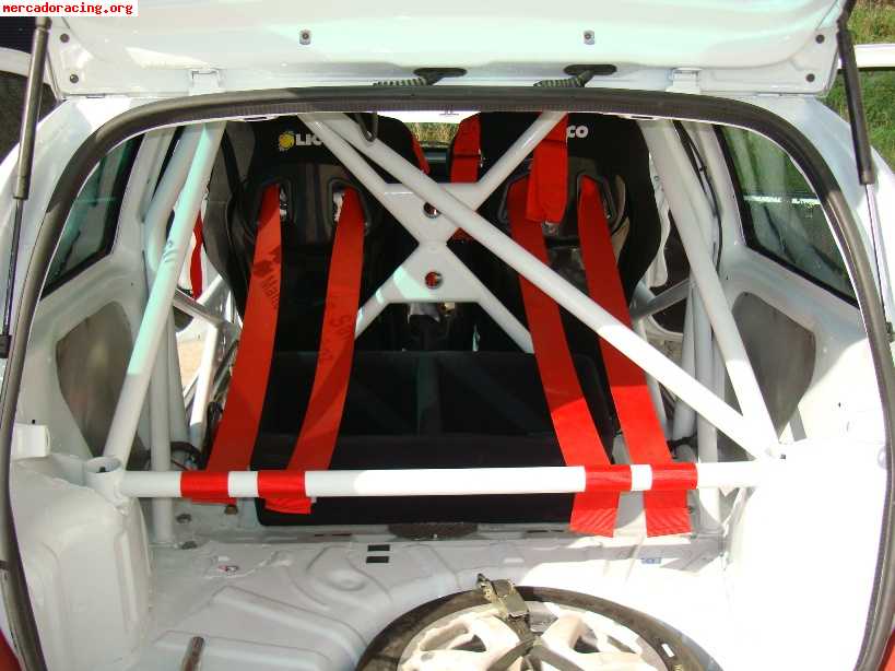 Clio tope gr.n